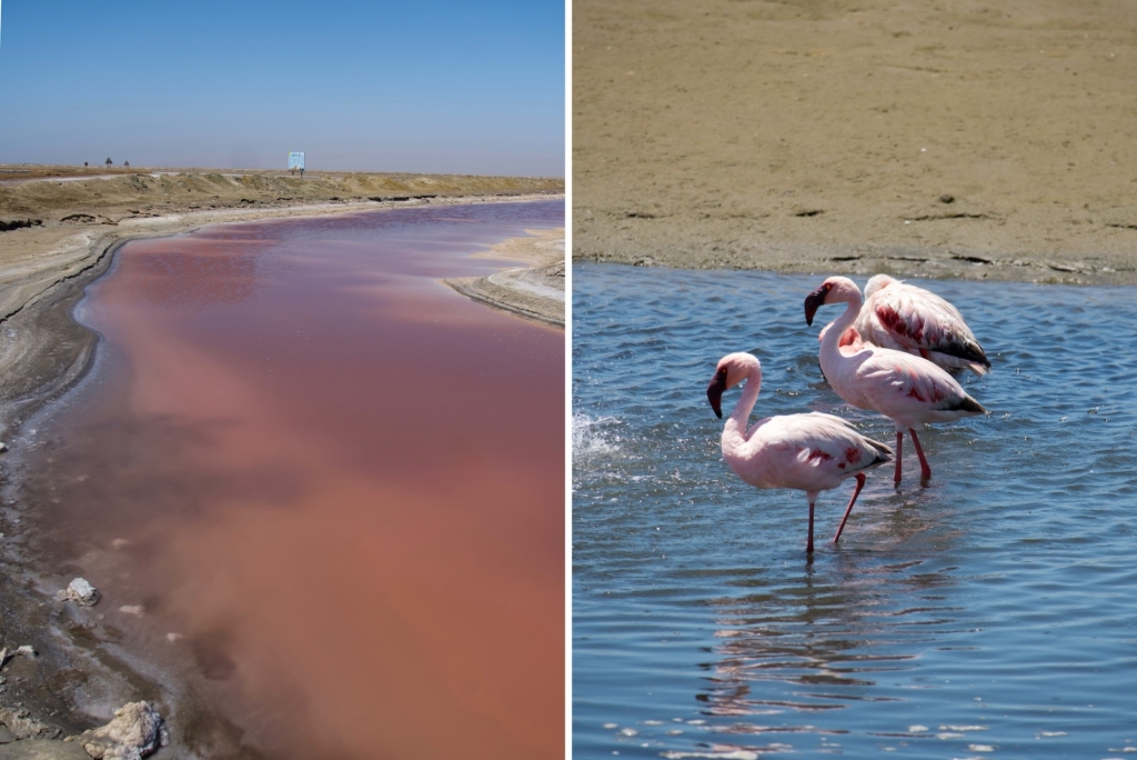 Namibia Road Trip: Pink Salt Lake