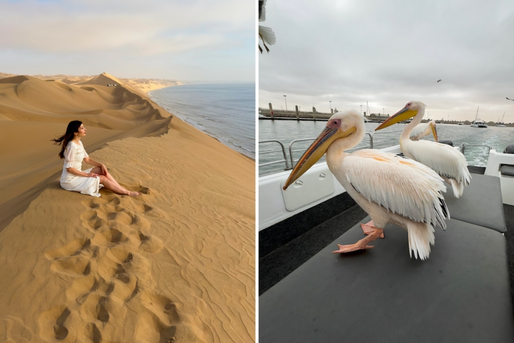 Naminia Road Trip: Skeleton Coast